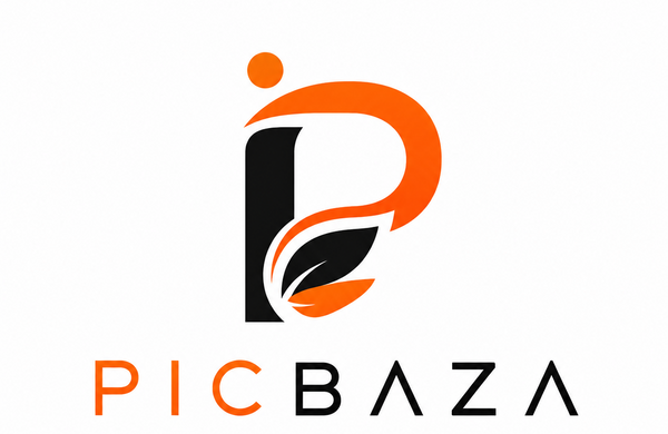 Picbaza